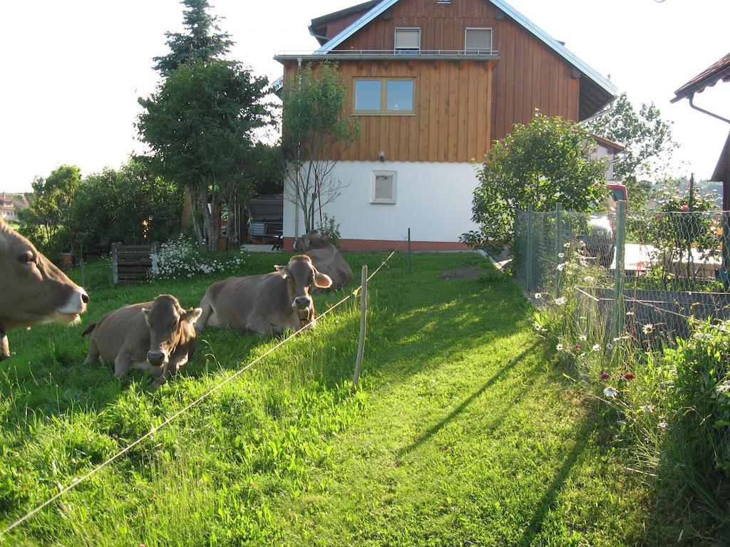 Haus Hoerger Appartement Maierhöfen Kamer foto